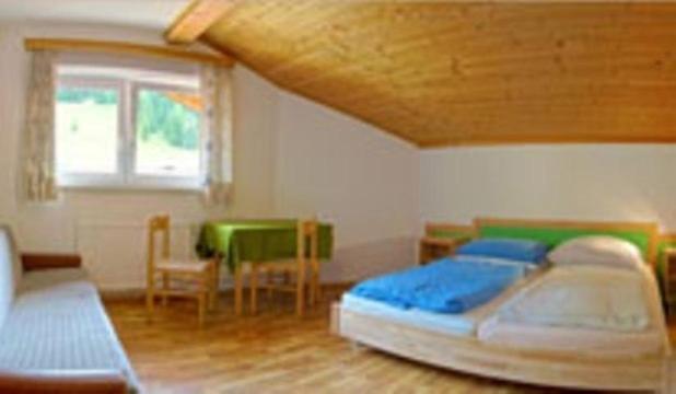Jugendgastehaus Steiner Hostel Eben Im Pongau Kültér fotó